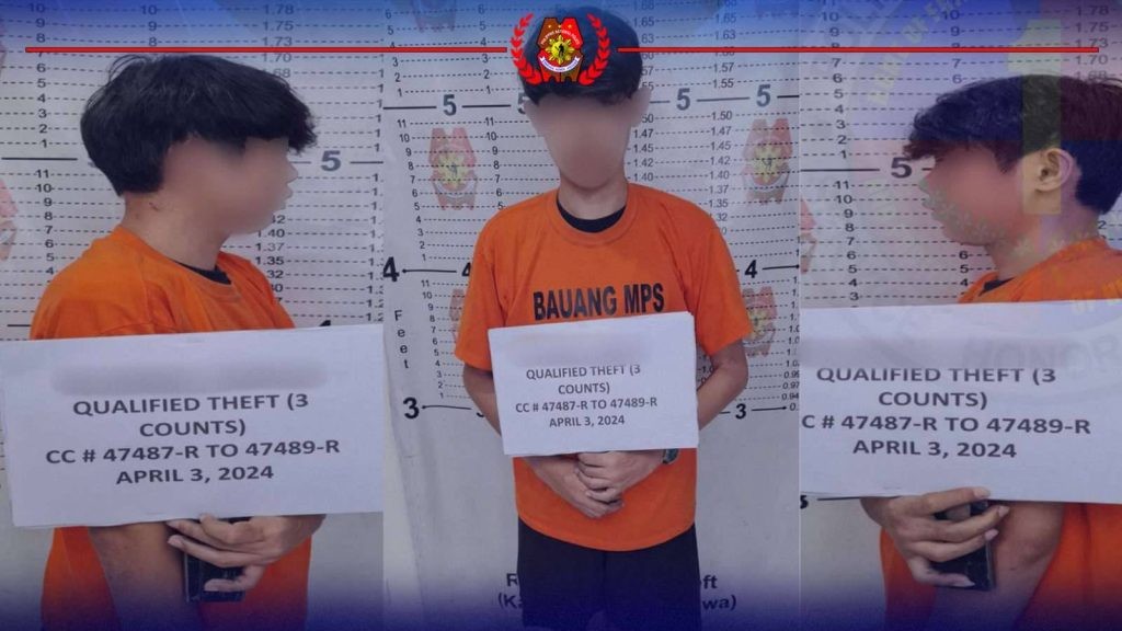 Top 2 fugitives arrested in LU towns
