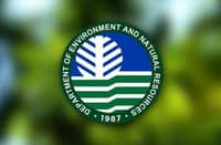 DENR defends Palawan tree-cutting permits, vows safeguards