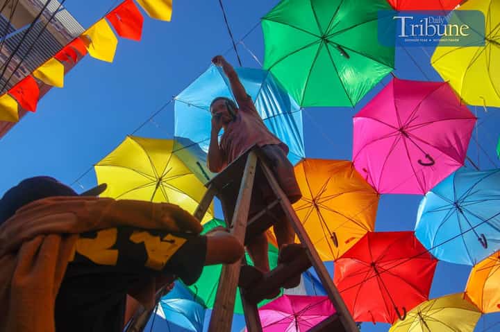 TRIBUNE-05-4-2024-UMBRELLA