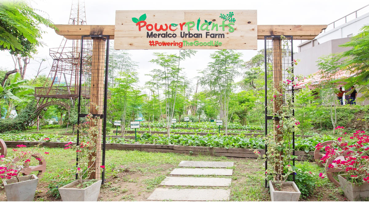Meralco Cultivates Sustainability
Commitment with Urban Farm Initiative