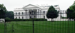 Driver dies after ramming car into White House gate