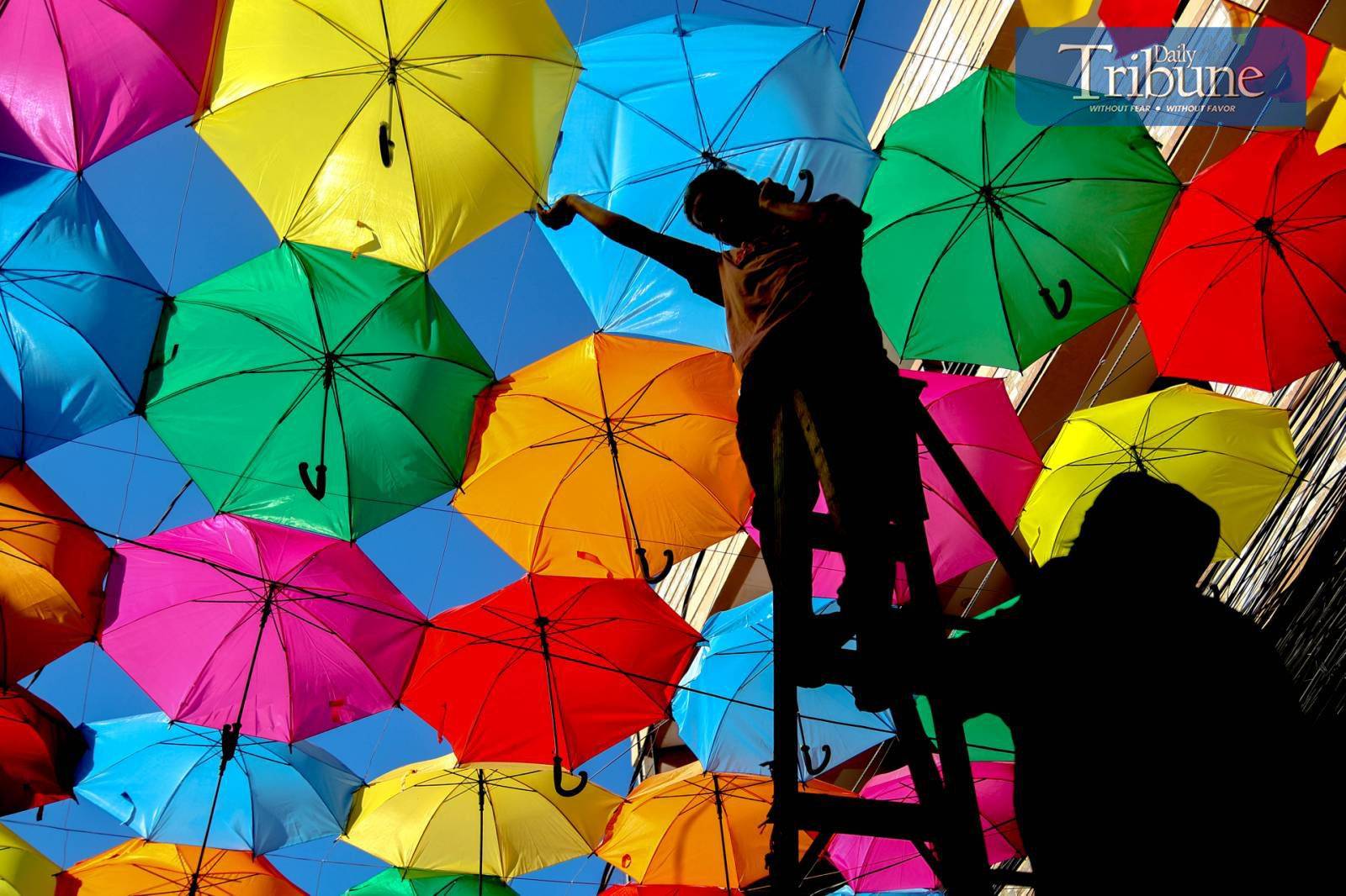 TRIBUNE-05-4-2024-UMBRELLA