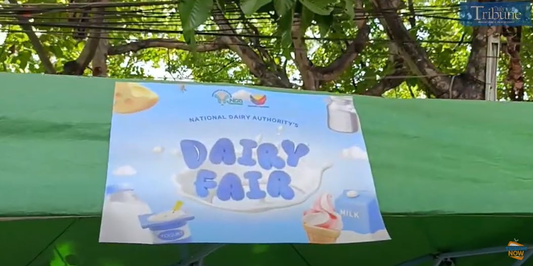 DAIRY FAIR 🥛