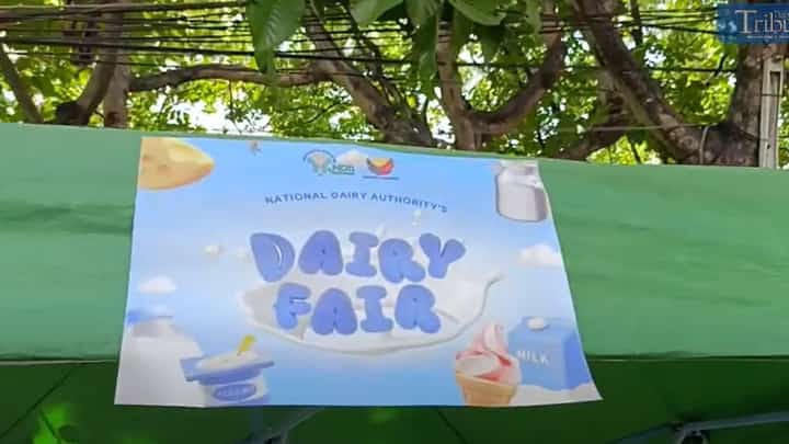 DAIRY FAIR 🥛