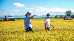 Marcos wants Northern Mindanao to become country's leading agri hub