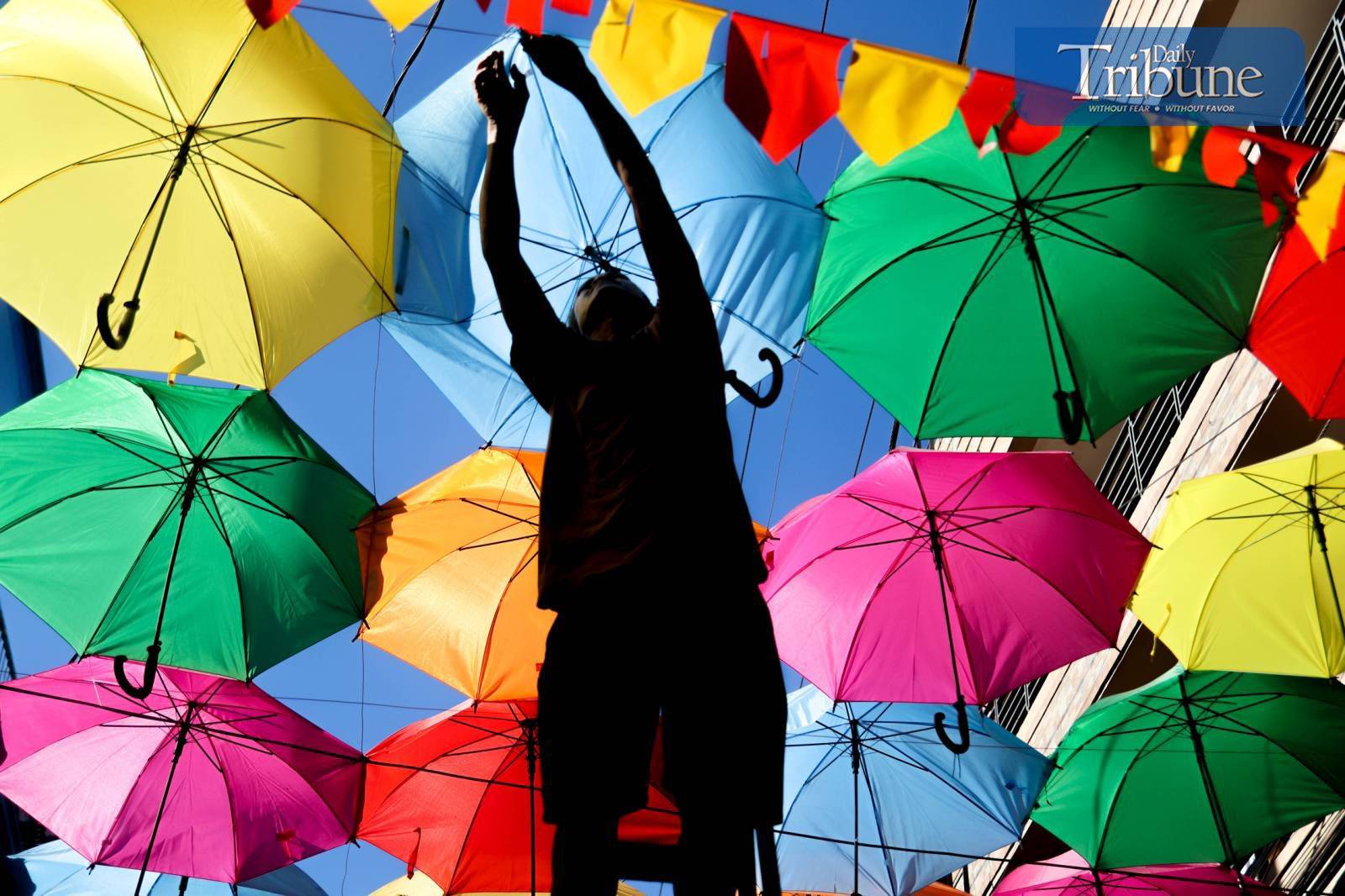 TRIBUNE-05-4-2024-UMBRELLA