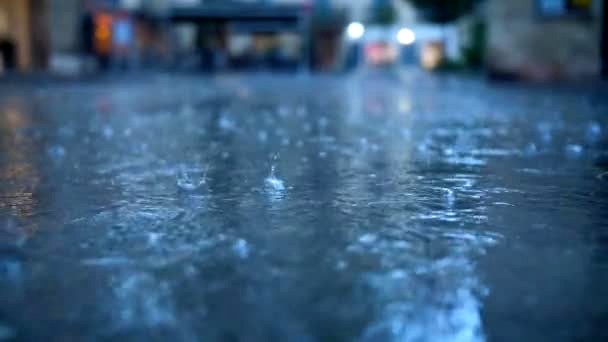 Public cautioned vs. 'WILD' diseases during rainy season
