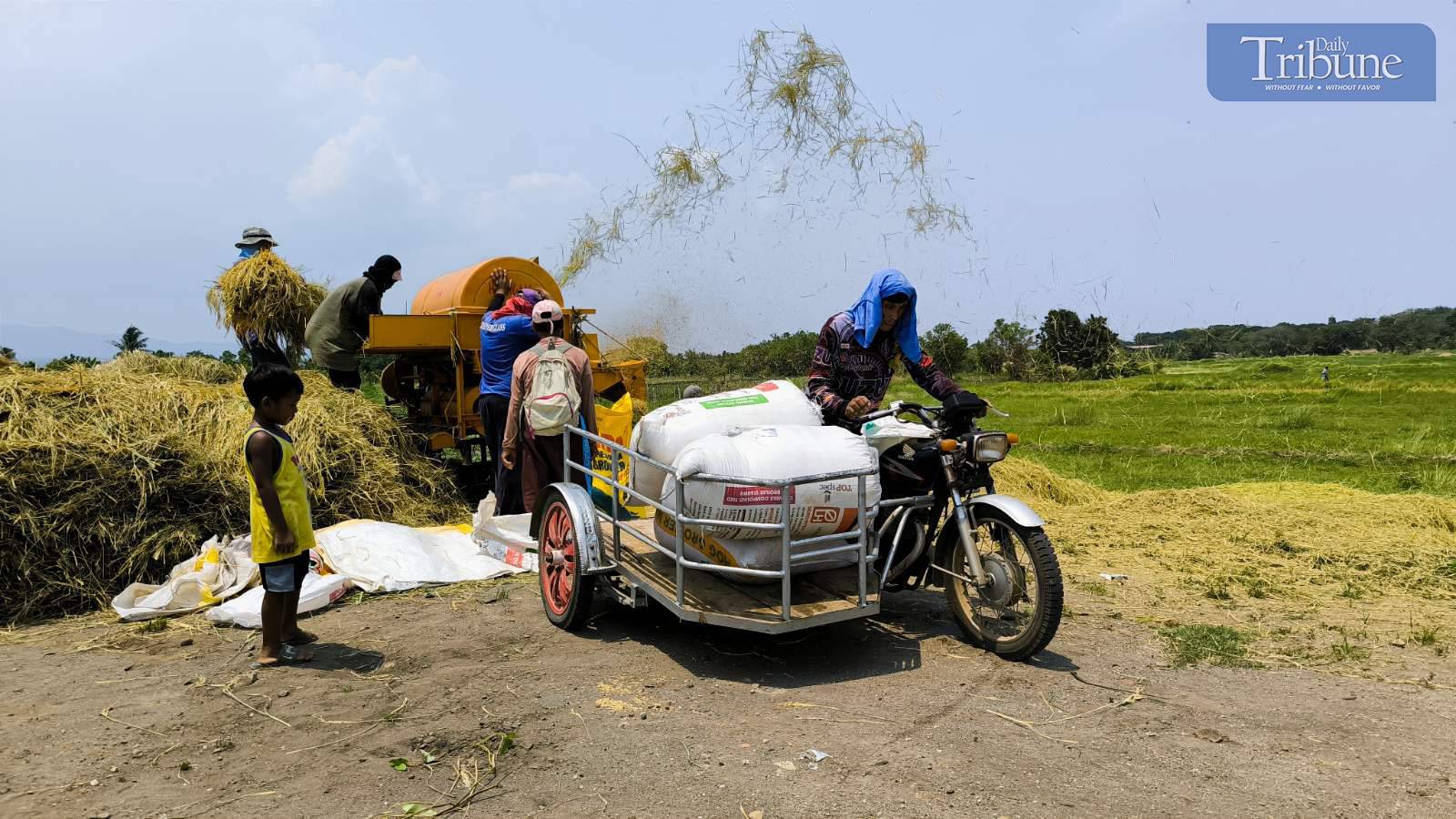 DA draws flak for setting rice MSRP at  'unbelievable' P58 