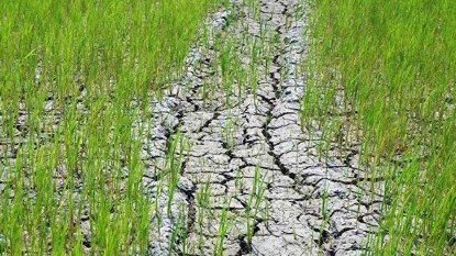 South Asia monsoon risks both floods, drought
