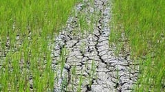 South Asia monsoon risks both floods, drought