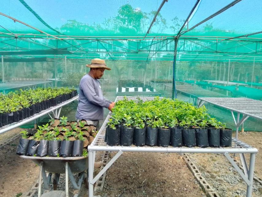 On its 35th year, Megaworld achieves carbon neutrality