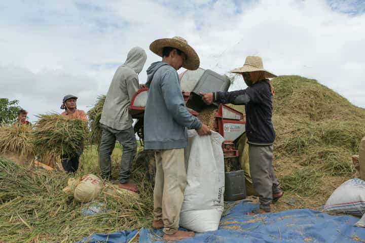House assures no corruption in new rice law