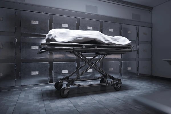 Three dead bodies discovered in Las Piñas