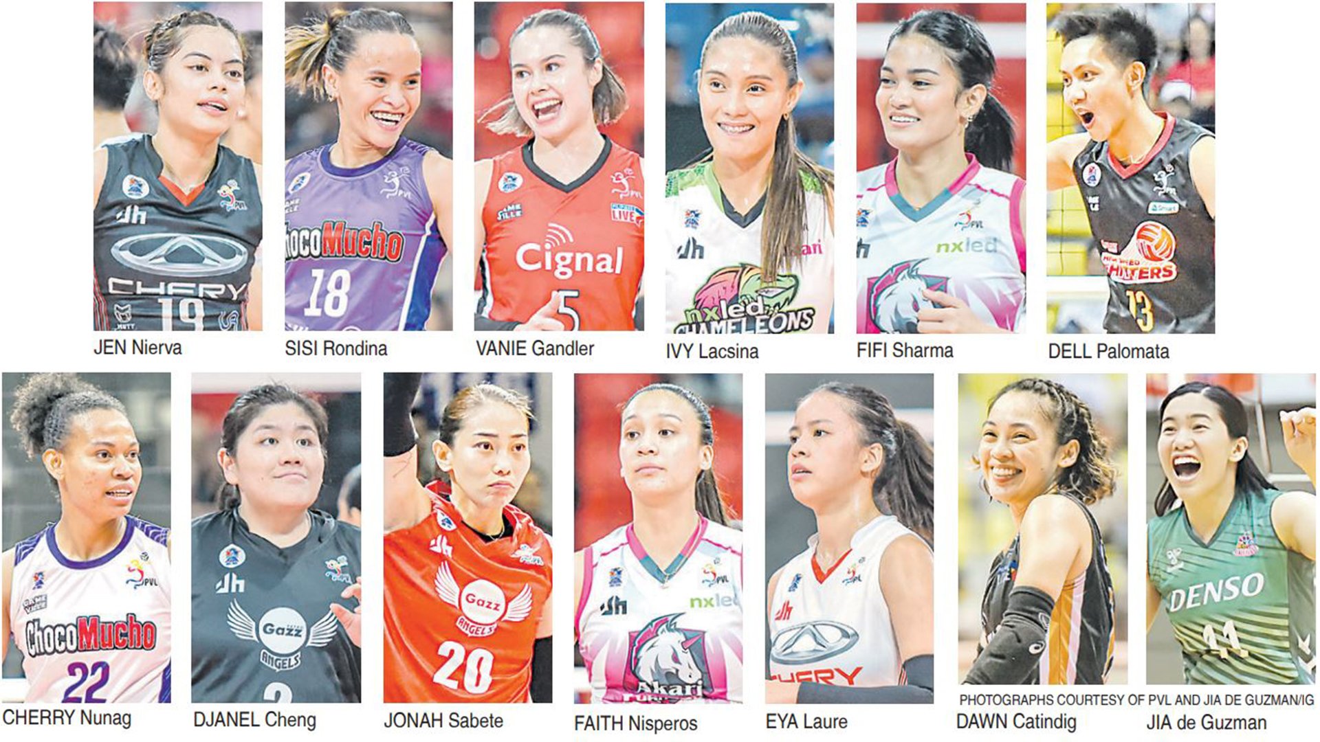 VOLLEY VIXENS