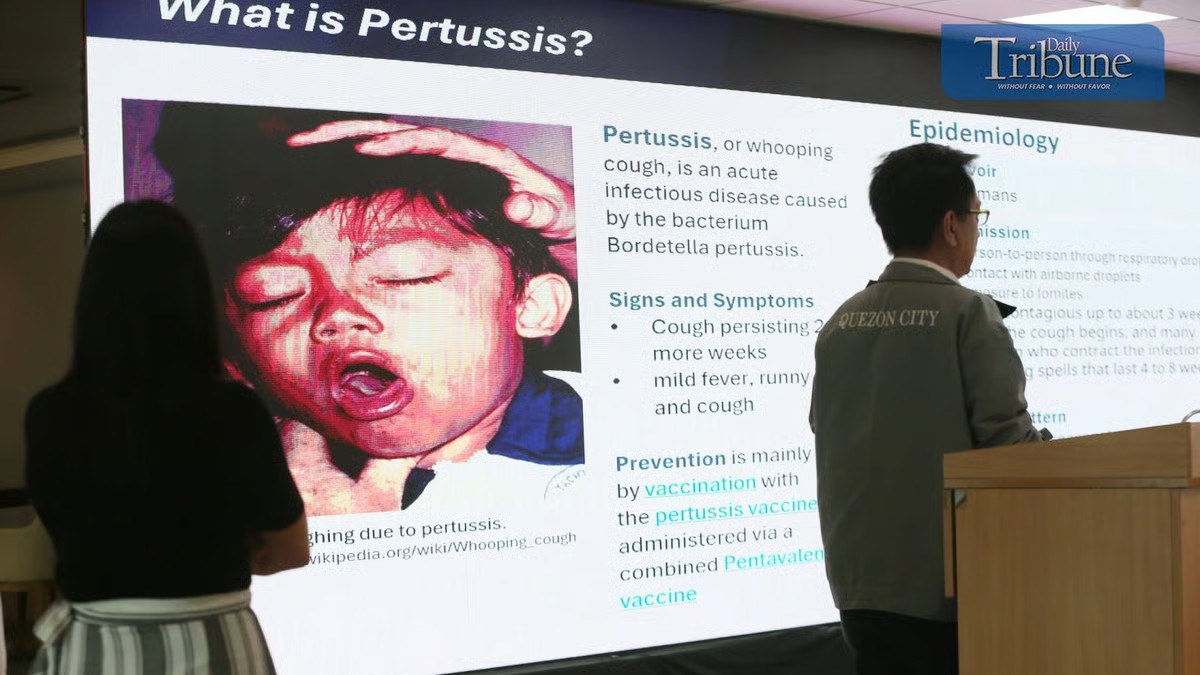 EV pertussis cases keep rising