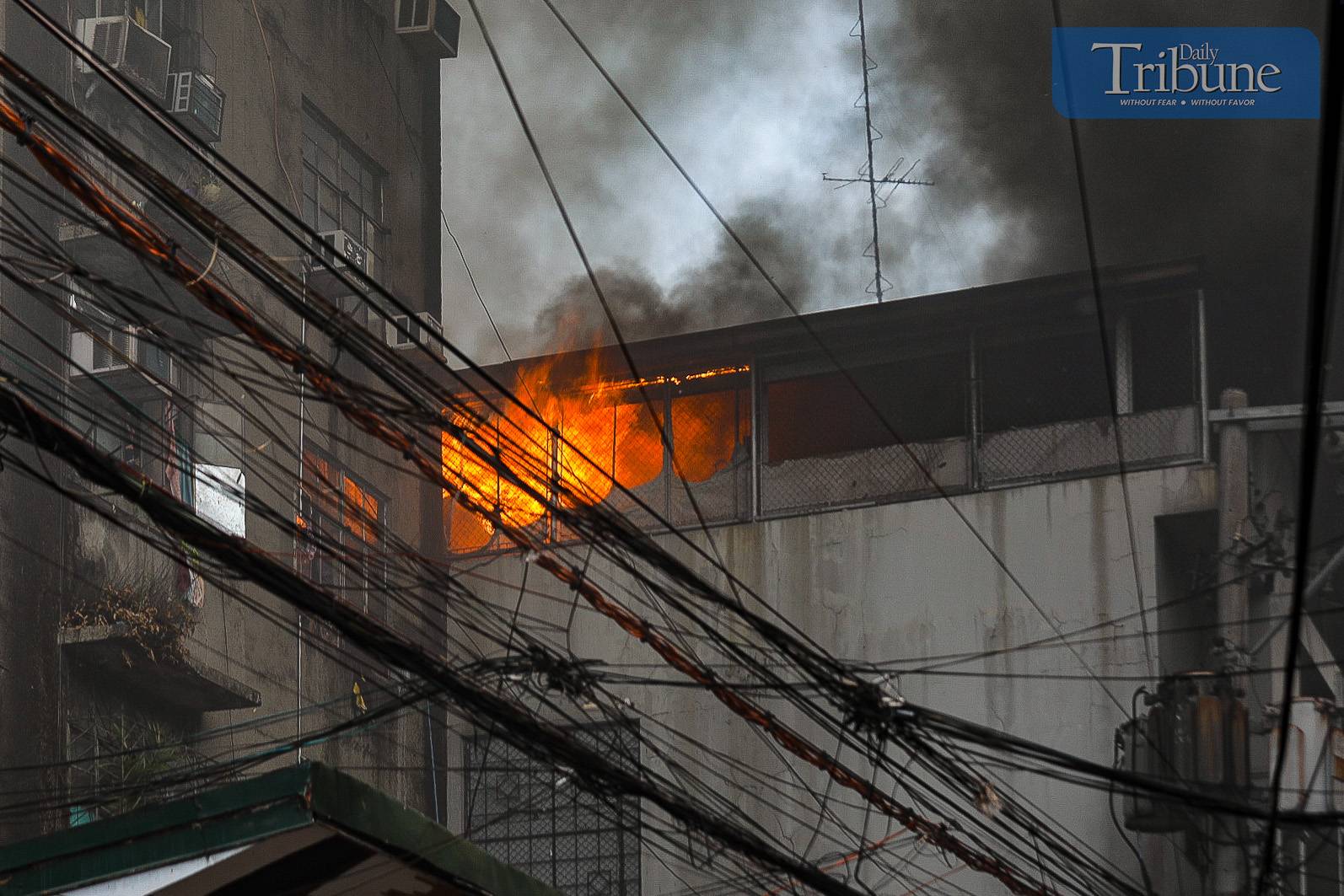 TRIBUNE-05-05-2024-BLAZE