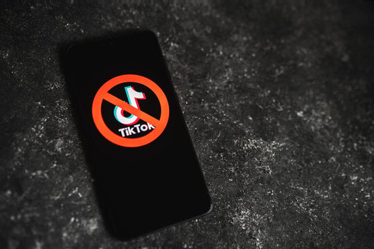 Nepalis fight TikTok ban in court