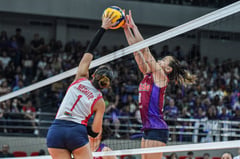 Rondina carrying Choco Mucho