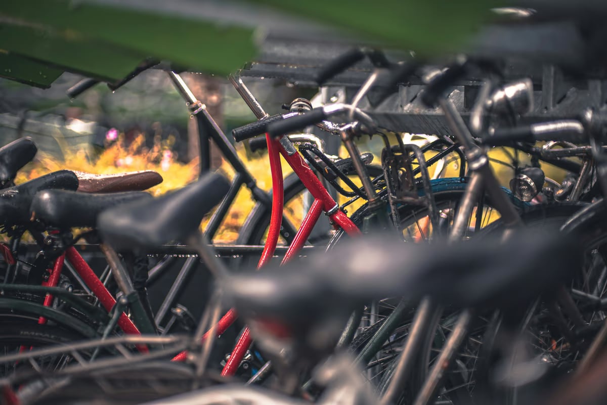 Shopwise Bike Fest hits road
