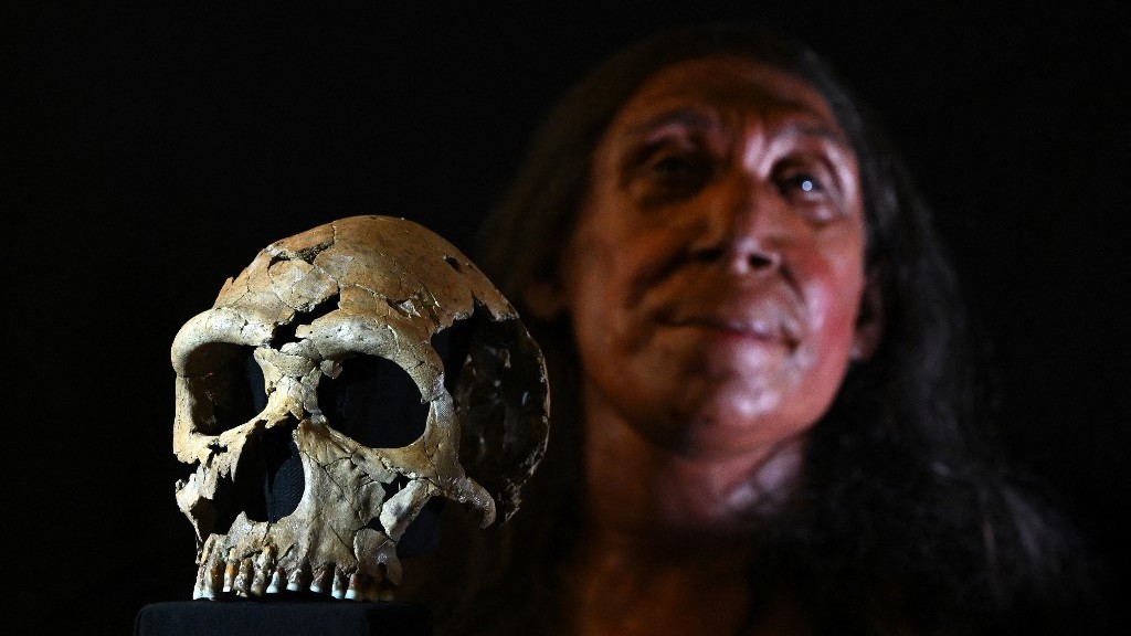 UK researchers unveil face of 75,000-year-old Neanderthal woman