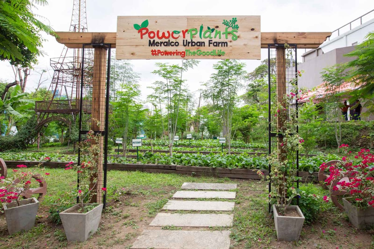 Meralco unveils urban farm