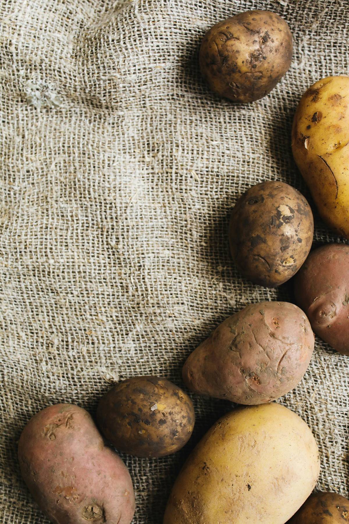 POTATOES are an excellent source of potassium.