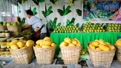 Philippine mango, umabot na sa merkado ng Canada