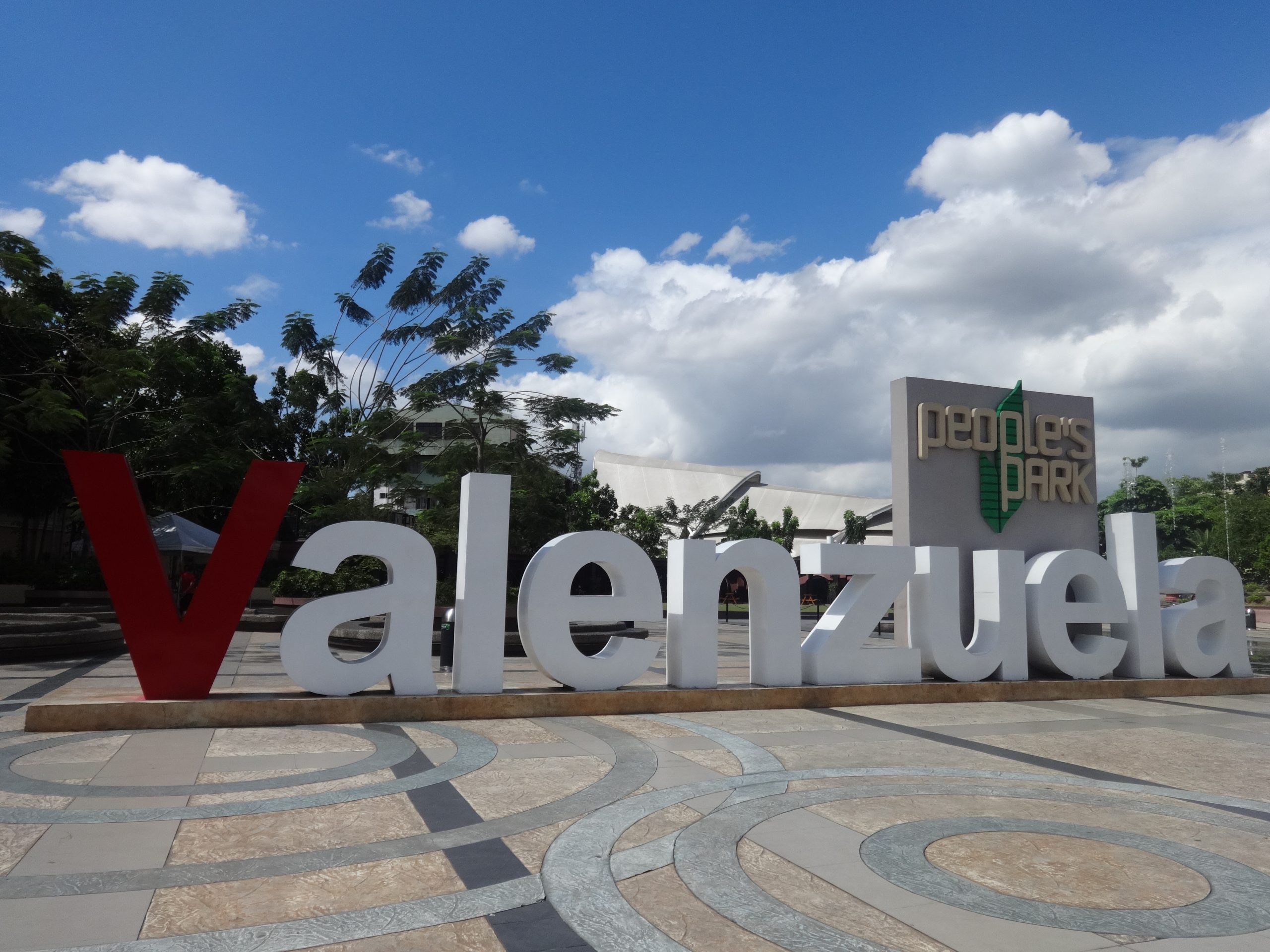 Valenzuela City implements mandatory renewal for red PWD IDs