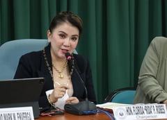 San Jose del Monte gets 2 Bulacan council seats