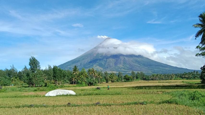 Albay's white elephant hospitals flagged by CoA