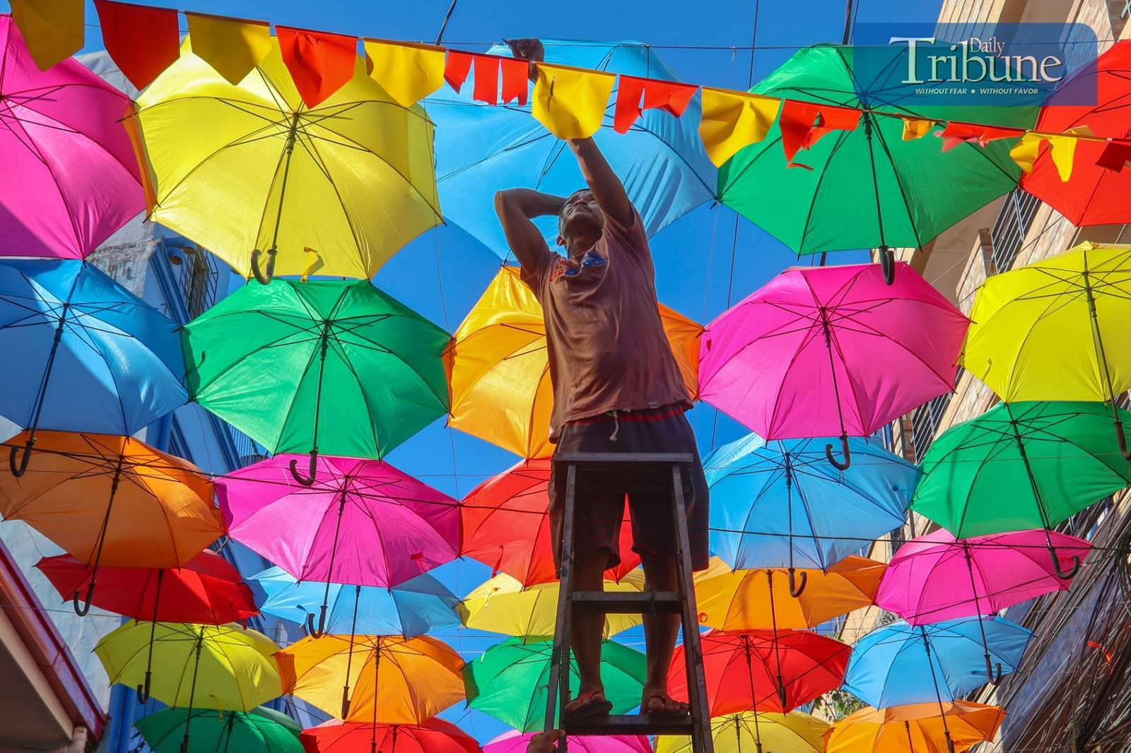 TRIBUNE-05-4-2024-UMBRELLA
