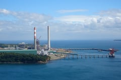 Bataan coal plant conducts forum on mangrove, climate change