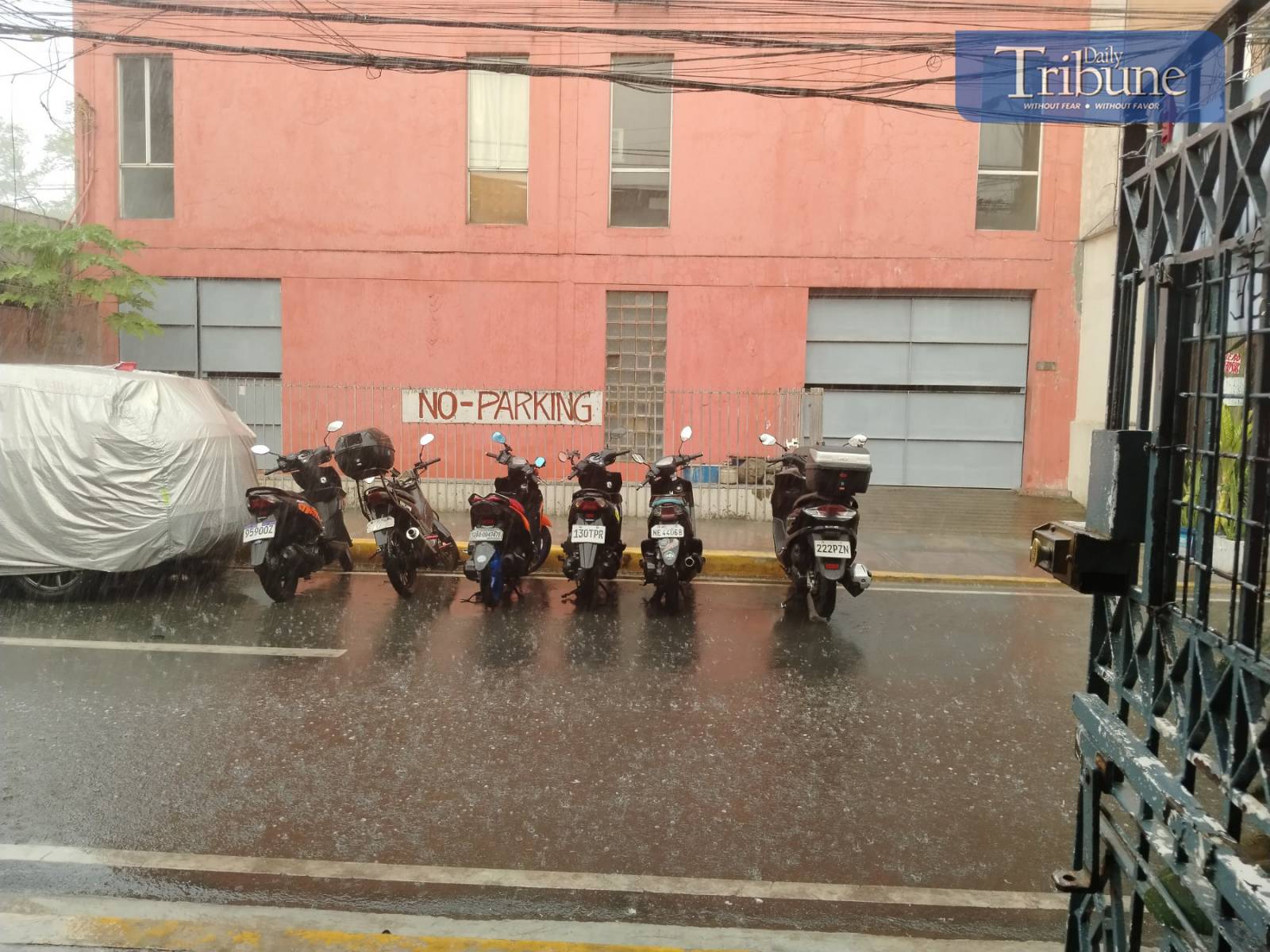 TRIBUNE-Palanan-Rain