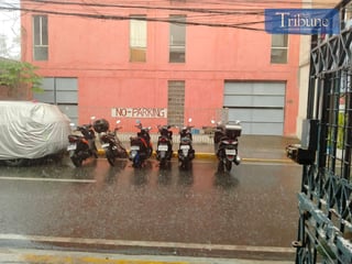 TRIBUNE-Palanan-Rain