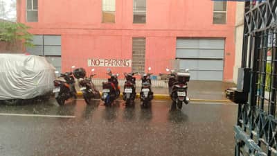 TRIBUNE-Palanan-Rain