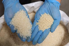 DA: Visayas, Mindanao get P29 rice by August