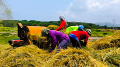 Cynthia Villar touts long-term rice stability with new RCEF law extension