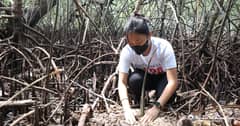 Mangroves mommas