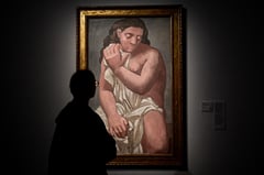 Picasso Museum opens vast online archive
