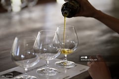 'Stress test': Olive oil producers adapt to climate change