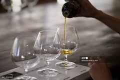 'Stress test': Olive oil producers adapt to climate change