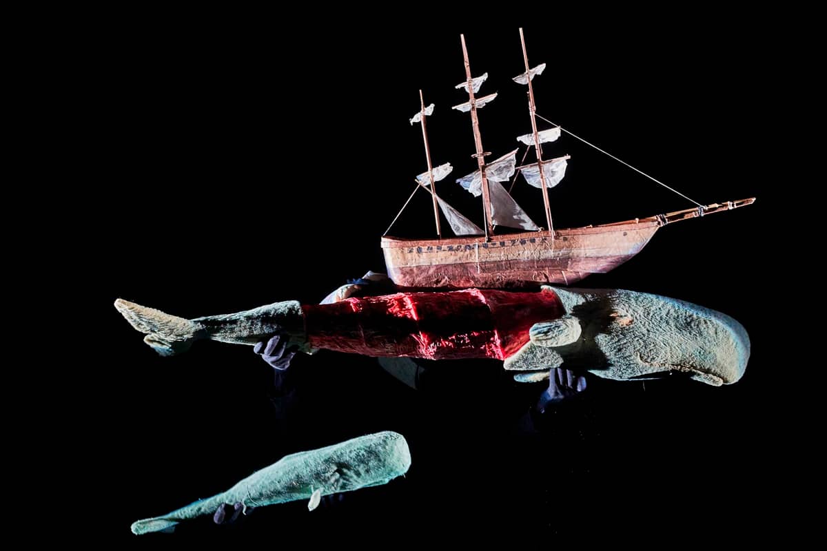 The iconic white whale, Captain Ahab's relentless pursuit, and the complex human emotions drive the staging of the timeless epic.