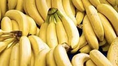 DA eyes fairer trade terms for Phl banana exports