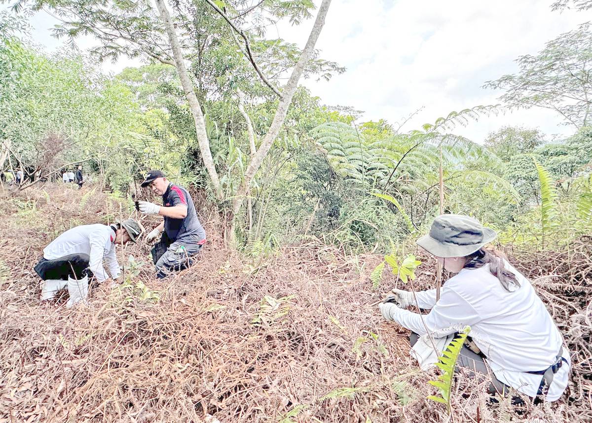 Volunteers during the upland tree planting in Siniloan, Laguna.