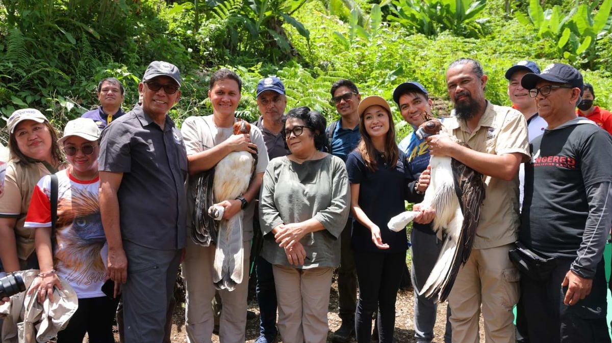 Philippine eagles
