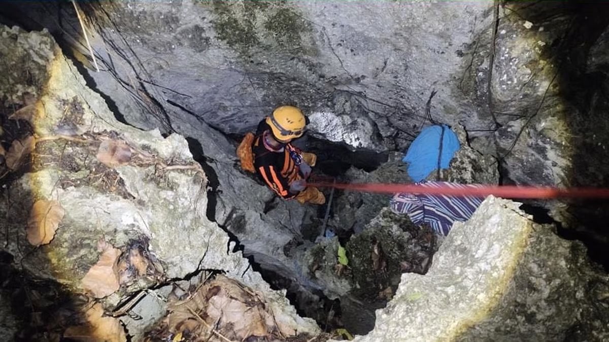 Bird’s nest harvester falls to death