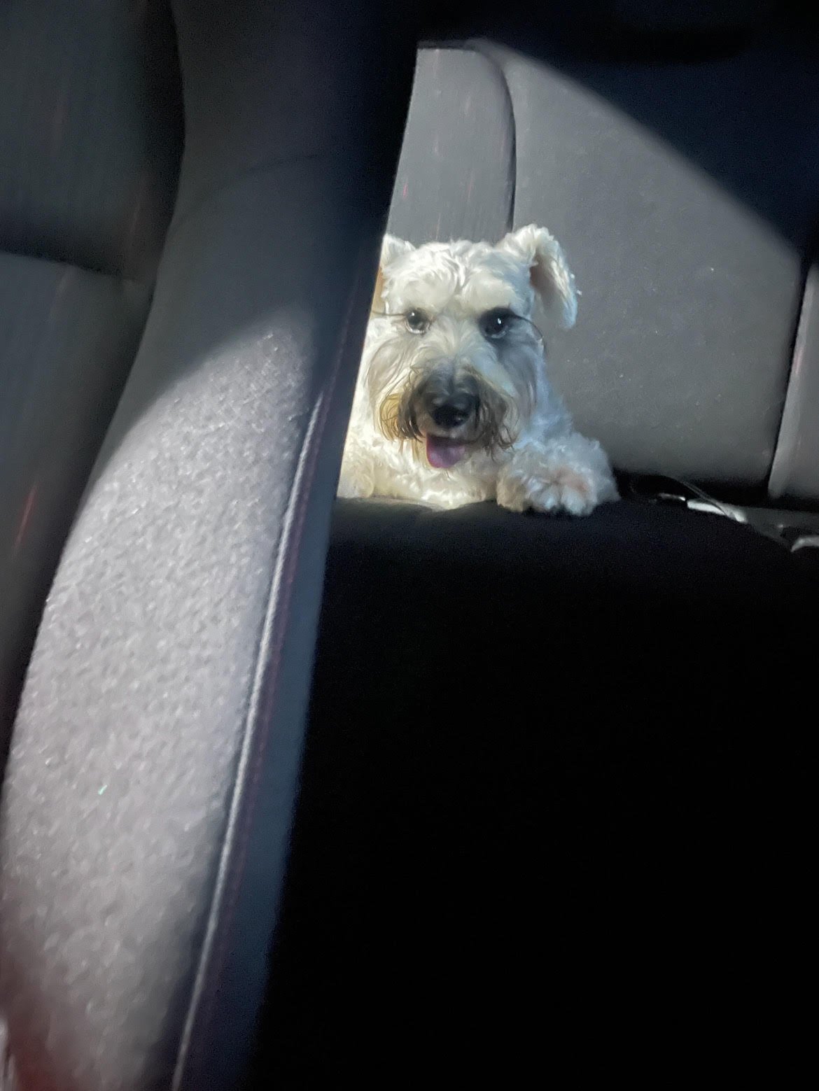 Yes, he sat and enjoyed: Boris.