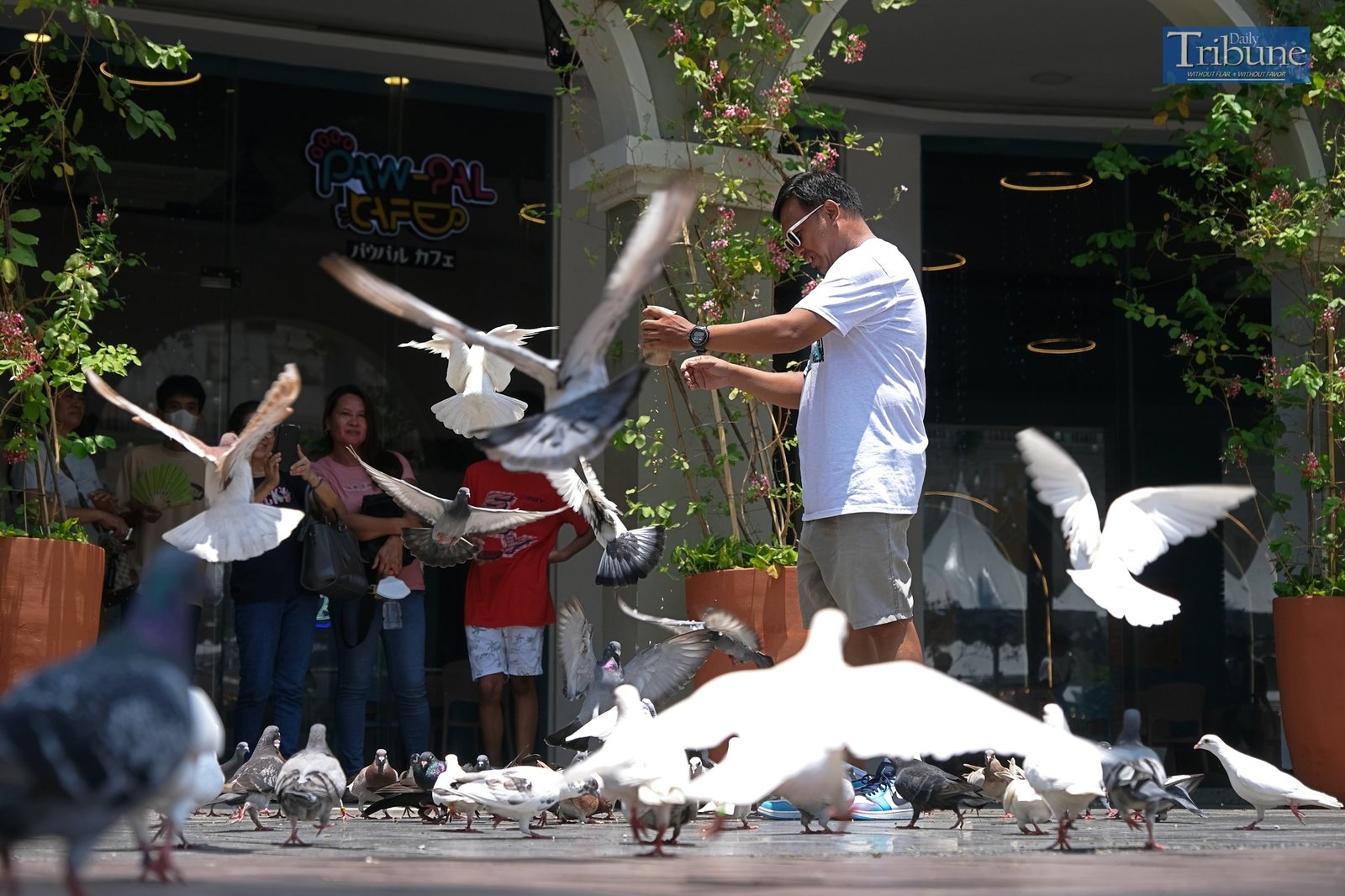 Mallgoers are seen having fun with pigeons inside the Venice Mall at BGC in Taguig City on Sunday.