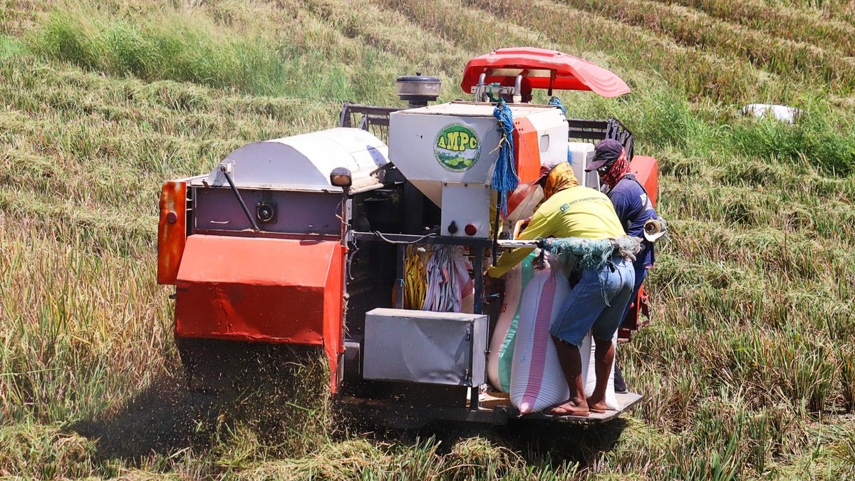 Marcos pledges more agri aid to boost Cagayan's economy
