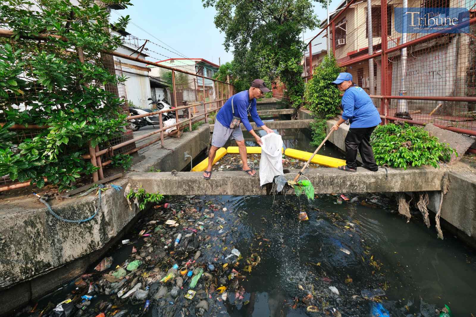 Estero clean-up